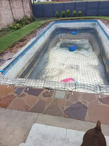 Fully Reinforced & Painted Swimming Pools — photo 10 of the RS Contractors project